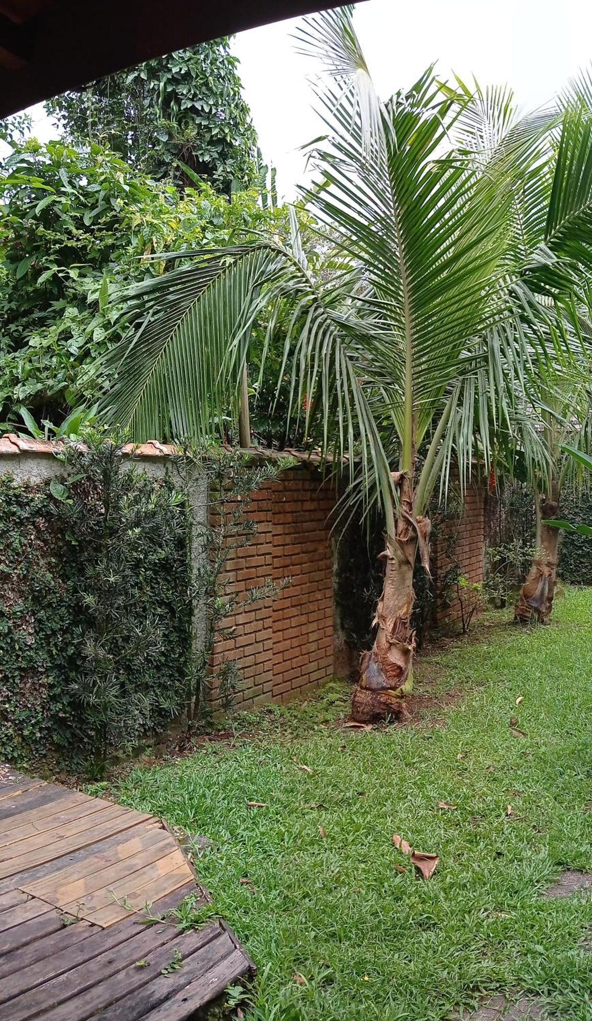Casa Dos Coqueiros Praia De Camburi, Condominio Camburi  Esterno foto